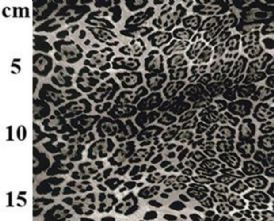 100% Cotton Lynx Animal Print Fabric x 0.5m